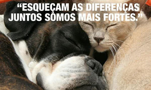 Juntos somos mais fortes