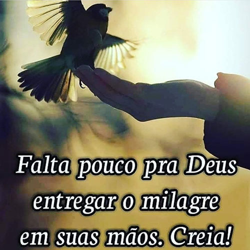 O milagre em suas mãos