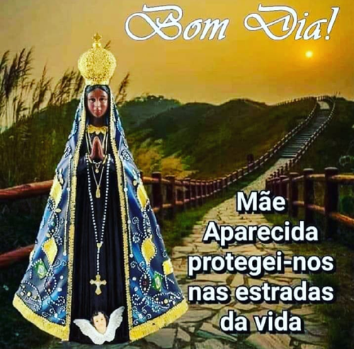 Mãe Aparecida protegei-nos