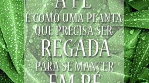 A Fé é como uma planta que precisa ser regada