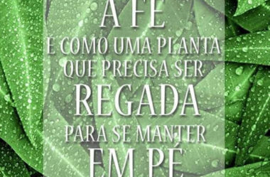 A Fé é como uma planta que precisa ser regada