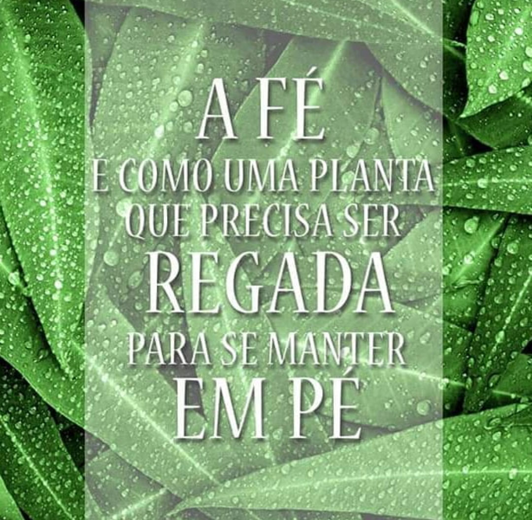 A Fé é como uma planta que precisa ser regada