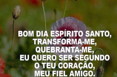 Mundo Mensagens - Página 26 de 56 - Mensagens incríveis para momentos especiais. Mundo Mensagens - Página 26 de 56 - Mensagens incríveis para momentos especiais.