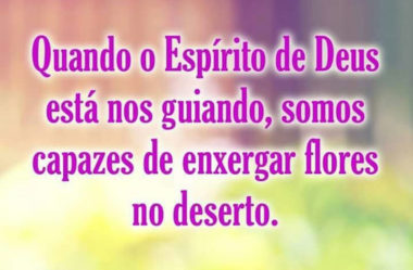 Somo capazes de enxergar flores no deserto