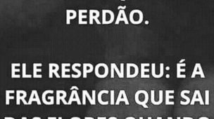 Perguntaram ao sábio o que é o perdão