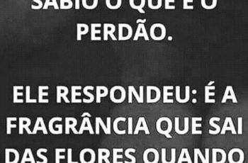 Perguntaram ao sábio o que é o perdão