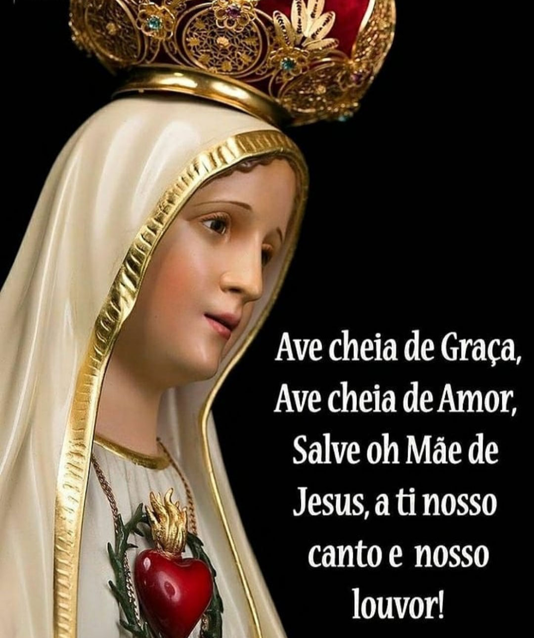 Ave-cheia-de-Amor