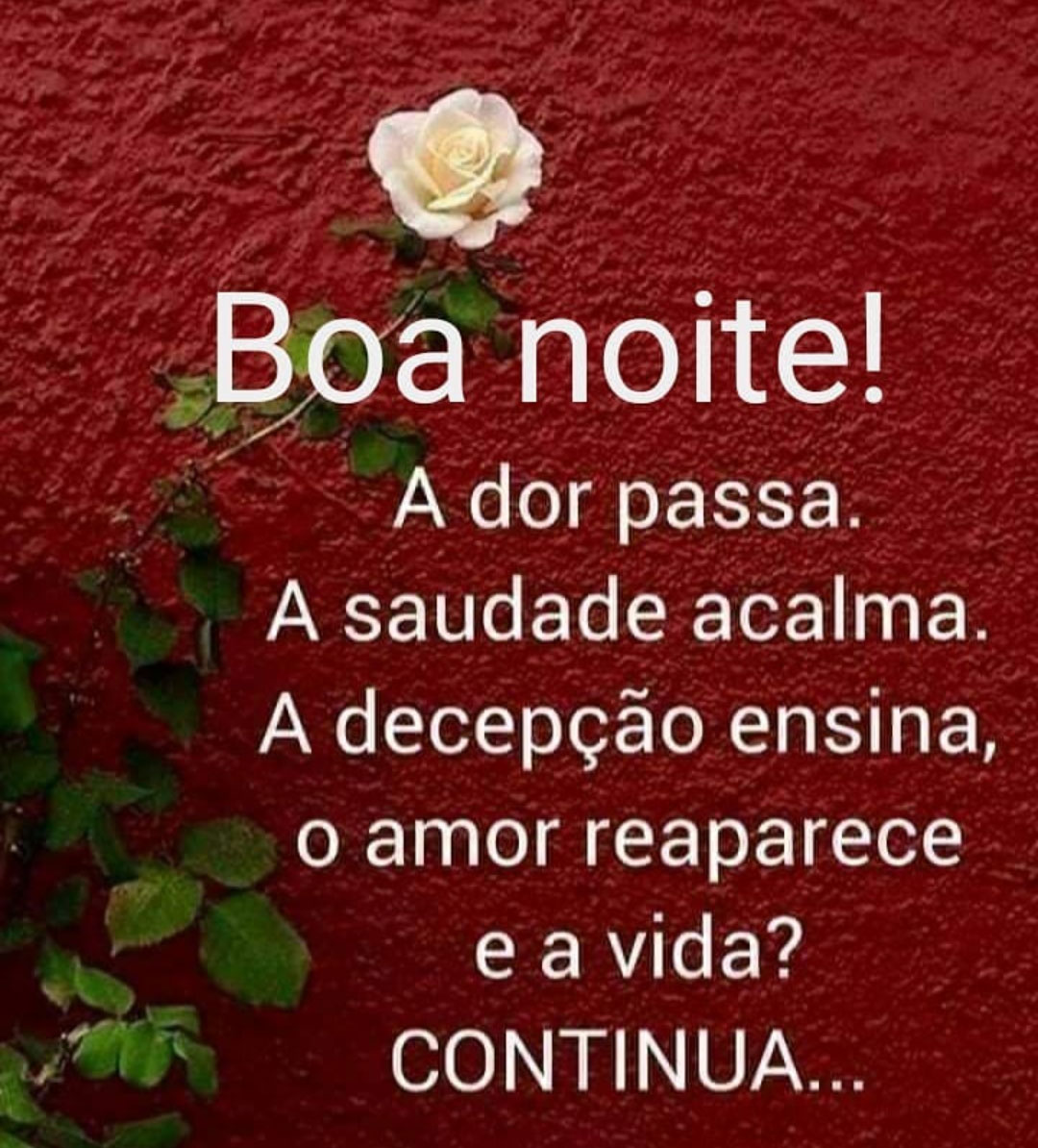 A Saudade Acalma.