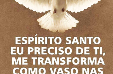 Espírito Santo Eu Preciso de Ti