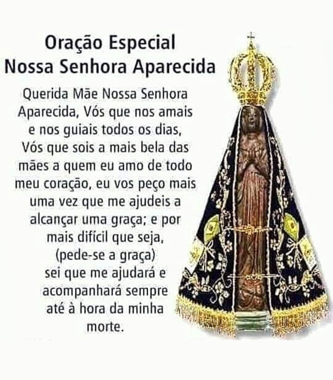 Oração Especial Nossa Senhora Aparecida