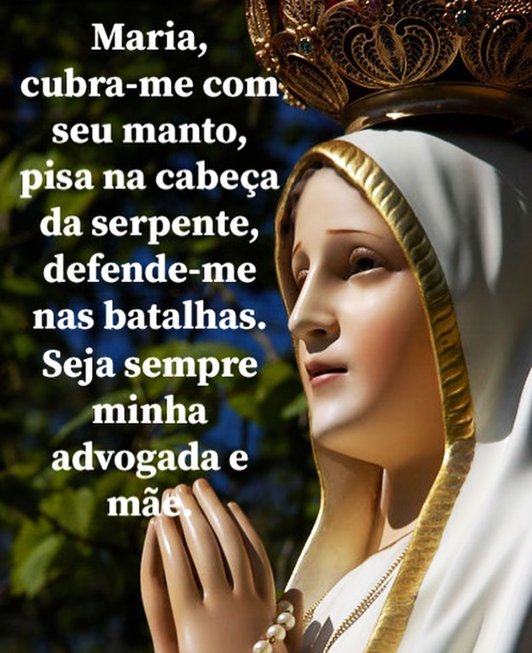 Seja sempre minha Advogada e Mãe