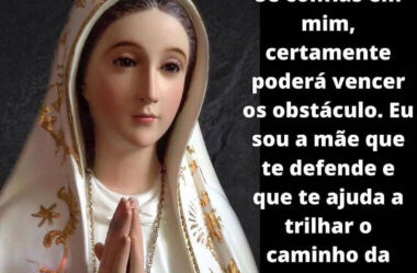 Sou a mãe que te Defende