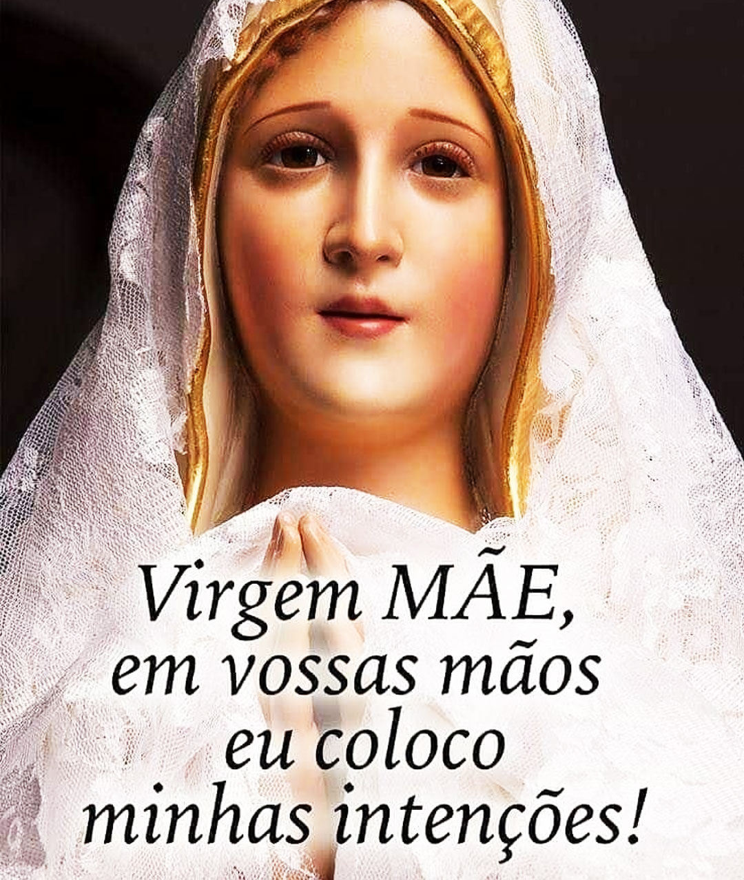 Virgem Mãe em vossas mãos