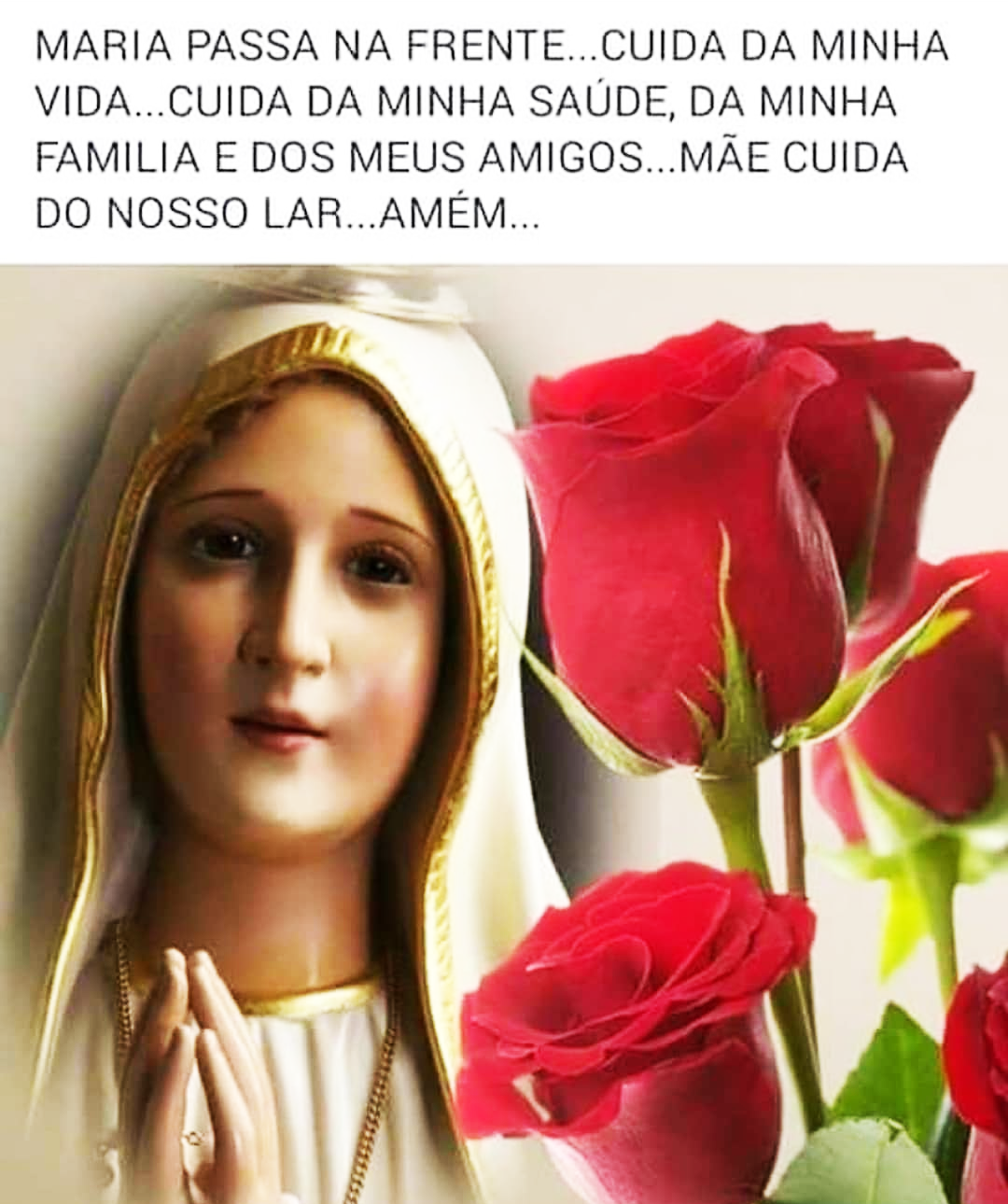 Cuida da Minha Vida Maria