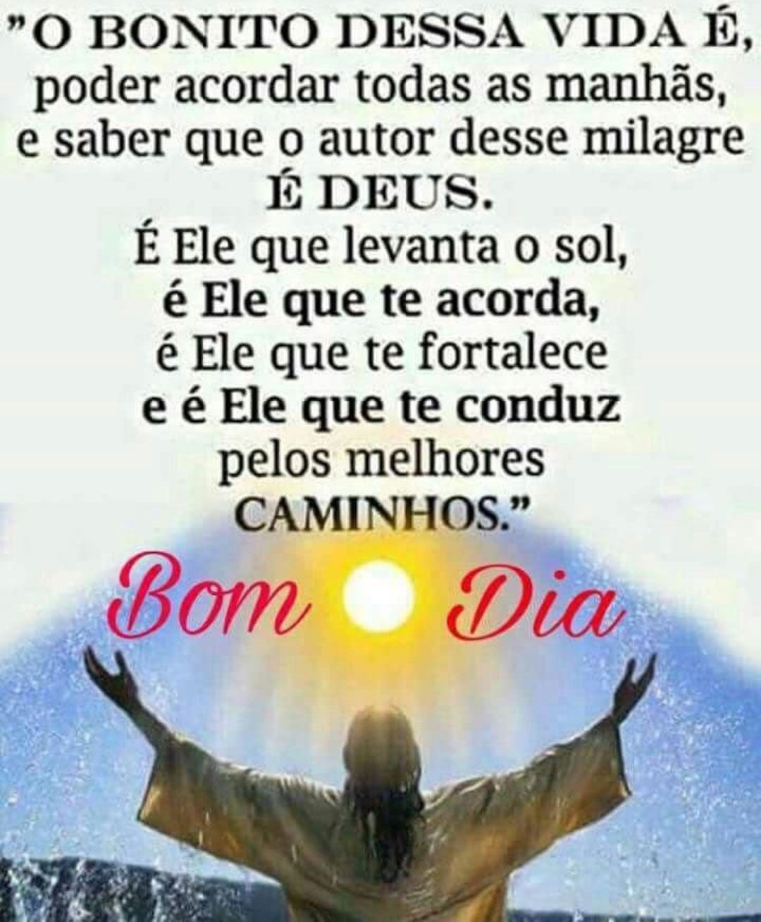 O Bonito dessa Vida