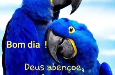 Bom dia Deus Abençoe