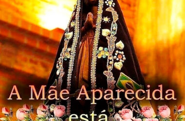 A Mãe Aparecida está abençoando você