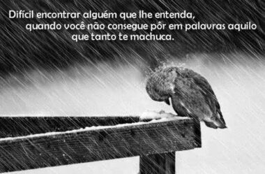 Difícil encontrar alguem que lhe entenda