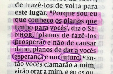 Eu Que Conheço os Planos