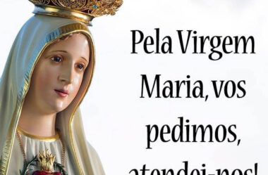 Pela Virgem Maria