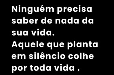 Aquele que planta em silêncio