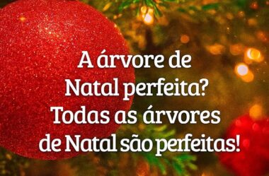 A árvore de Natal perfeita