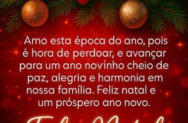 Amo esta época do ano