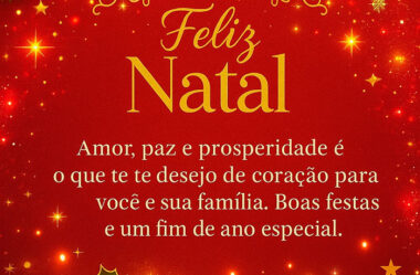 Boas festas e um fim de ano especial