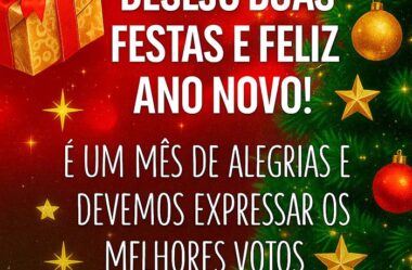 Desejo Boas Festas e Feliz Ano Novo