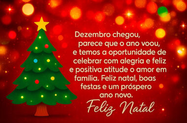Dezembro chegou Feliz Natal