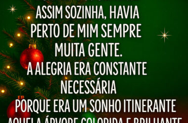 Eu não fui sempre assim sozinha