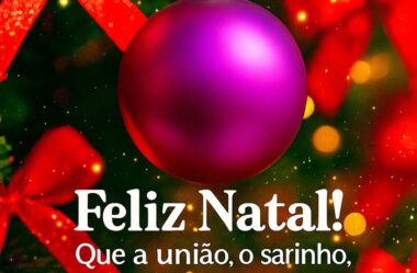 Principais temperos da sua ceia