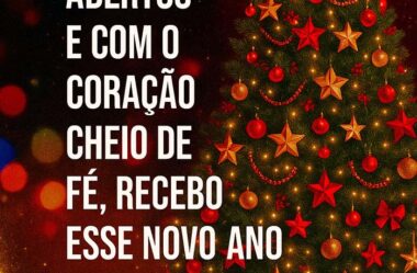 Recebo esse novo ano que chega