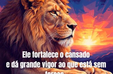 Ele fortalece o cansado e da grande vigor