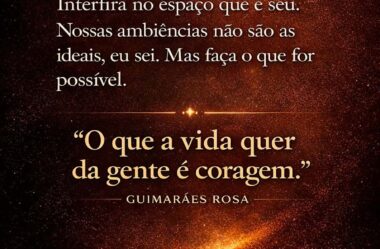 O que a vida quer da gente é coragem