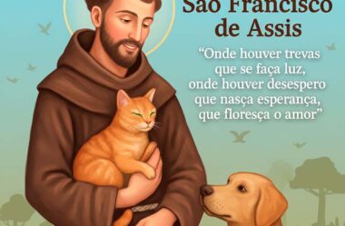 Onde houver trevas que se faça luz Dia de São Francisco de Assis