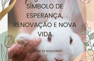 A Páscoa é um símbolo de esperança
