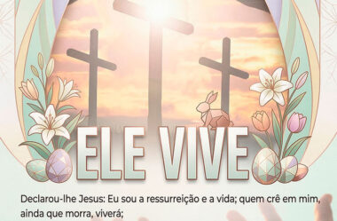 Declarou-lhe Jesus Eu sou a ressureição e a vida