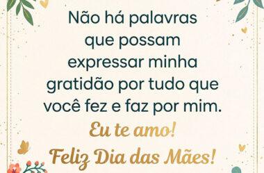 Não há palavras que possam expressar minha gratidão