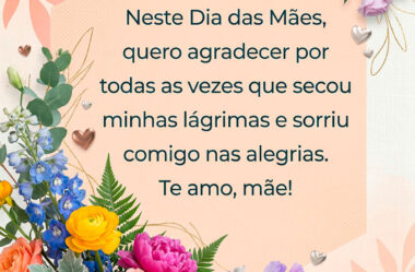 Que agradecer por todas as vezes que secou minhas lágrimas